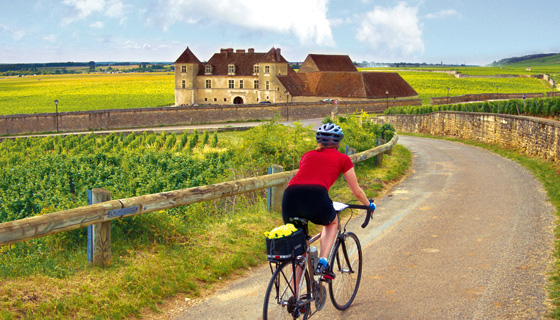 Chablis & Burgundy Biking